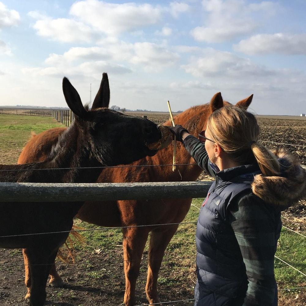 Meet your Posher, Cheryl